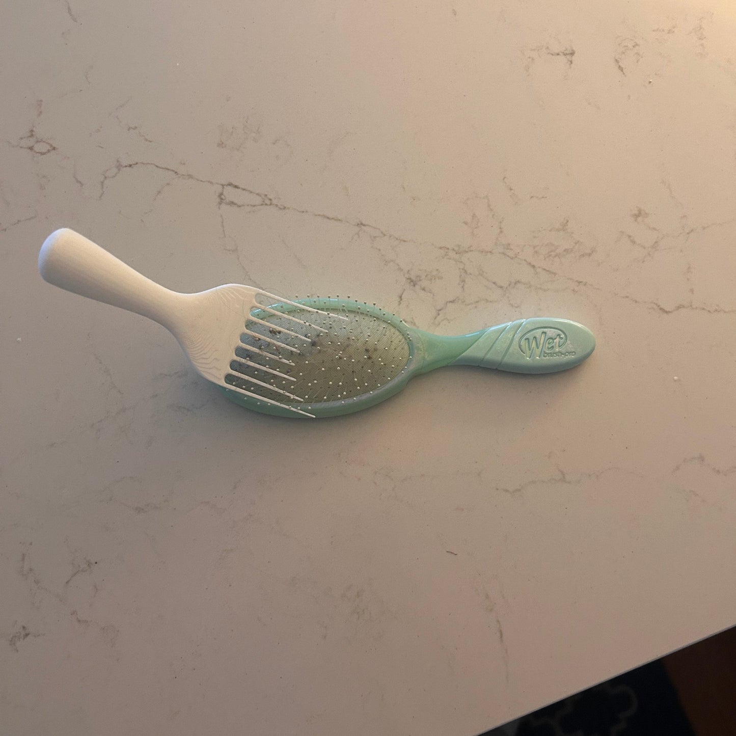 Hairbrush Cleaner