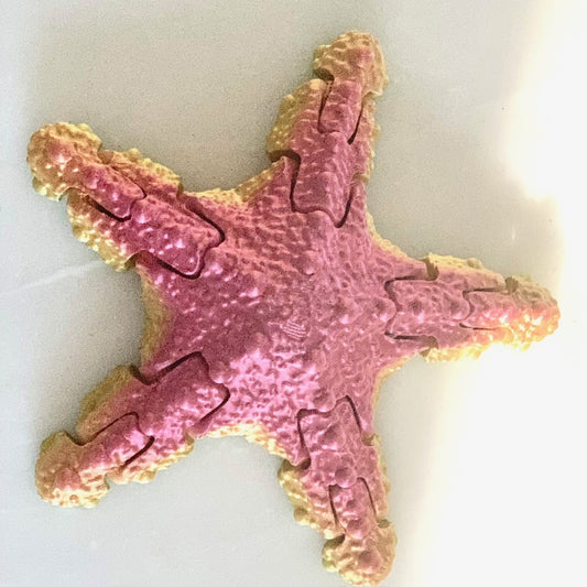 Starfish Home Decor